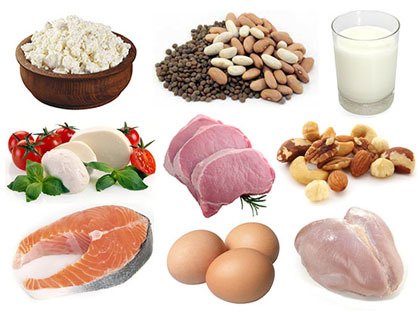 Variedades de proteínas animal e vegetal